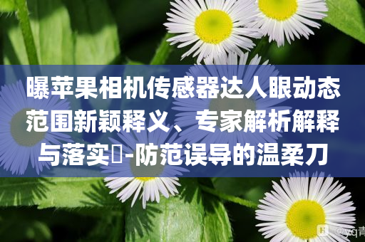 曝蘋果相機(jī)傳感器達(dá)人眼動態(tài)范圍新穎釋義、專家解析解釋與落實(shí)?-防范誤導(dǎo)的溫柔刀