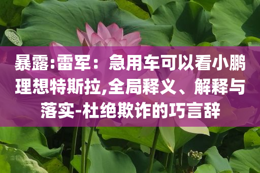 暴露:雷軍：急用車可以看小鵬理想特斯拉,全局釋義、解釋與落實(shí)-杜絕欺詐的巧言辭