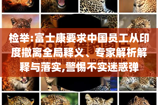 檢舉:富士康要求中國(guó)員工從印度撤離全局釋義、專家解析解釋與落實(shí),警惕不實(shí)迷惑彈