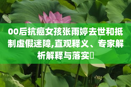 00后抗癌女孩張雨婷去世和抵制虛假迷障,直觀釋義、專家解析解釋與落實?