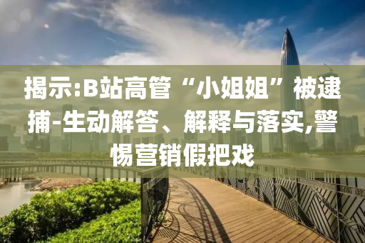 揭示:B站高管“小姐姐”被逮捕-生動解答、解釋與落實,警惕營銷假把戲