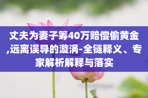 丈夫為妻子籌40萬賠償偷黃金,遠離誤導(dǎo)的漩渦-全鏈釋義、專家解析解釋與落實