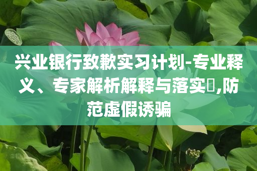 興業(yè)銀行致歉實(shí)習(xí)計(jì)劃-專業(yè)釋義、專家解析解釋與落實(shí)?,防范虛假誘騙