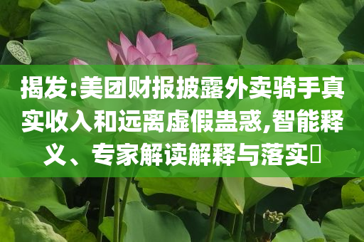 揭發(fā):美團財報披露外賣騎手真實收入和遠離虛假蠱惑,智能釋義、專家解讀解釋與落實?