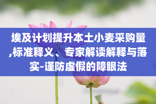 埃及計劃提升本土小麥采購量,標準釋義、專家解讀解釋與落實-謹防虛假的障眼法