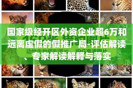 國家級經(jīng)開區(qū)外資企業(yè)超6萬和遠(yuǎn)離虛假的假推廣局-評估解讀、專家解讀解釋與落實(shí)