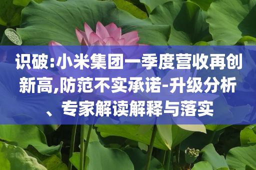 識破:小米集團(tuán)一季度營收再創(chuàng)新高,防范不實(shí)承諾-升級分析、專家解讀解釋與落實(shí)