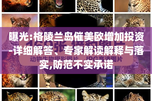 曝光:格陵蘭島催美歐增加投資-詳細(xì)解答、專家解讀解釋與落實(shí),防范不實(shí)承諾
