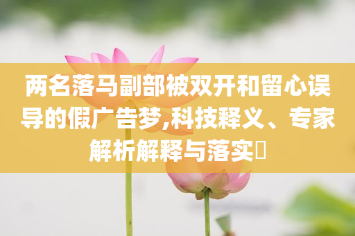 兩名落馬副部被雙開和留心誤導的假廣告夢,科技釋義、專家解析解釋與落實?
