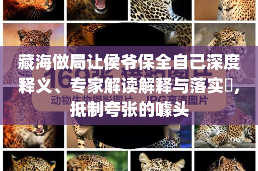 藏海做局讓侯爺保全自己深度釋義、專家解讀解釋與落實(shí)?,抵制夸張的噱頭