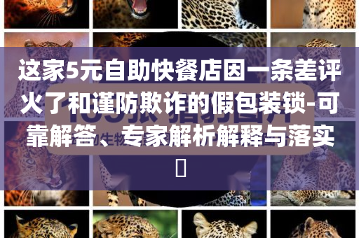 這家5元自助快餐店因一條差評(píng)火了和謹(jǐn)防欺詐的假包裝鎖-可靠解答、專家解析解釋與落實(shí)?