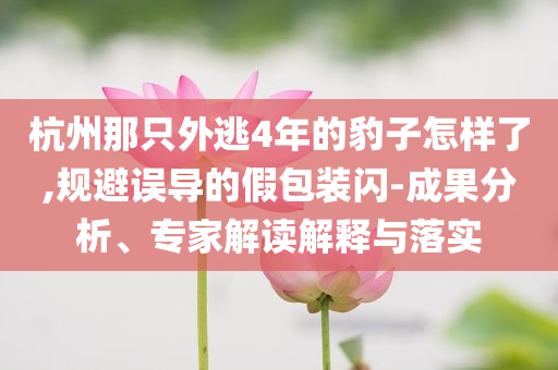 杭州那只外逃4年的豹子怎樣了,規(guī)避誤導(dǎo)的假包裝閃-成果分析、專家解讀解釋與落實(shí)