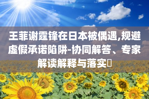 王菲謝霆鋒在日本被偶遇,規(guī)避虛假承諾陷阱-協(xié)同解答、專家解讀解釋與落實(shí)?
