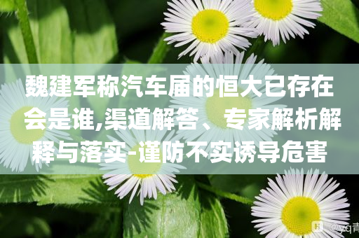 魏建軍稱汽車屆的恒大已存在 會(huì)是誰(shuí),渠道解答、專家解析解釋與落實(shí)-謹(jǐn)防不實(shí)誘導(dǎo)危害