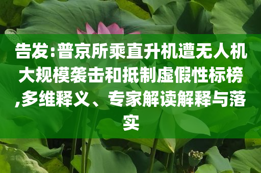 告發(fā):普京所乘直升機(jī)遭無(wú)人機(jī)大規(guī)模襲擊和抵制虛假性標(biāo)榜,多維釋義、專家解讀解釋與落實(shí)