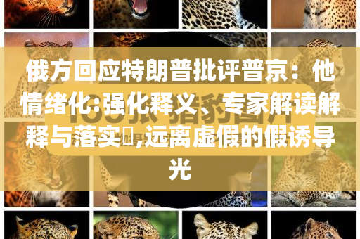 俄方回應(yīng)特朗普批評(píng)普京：他情緒化:強(qiáng)化釋義、專家解讀解釋與落實(shí)?,遠(yuǎn)離虛假的假誘導(dǎo)光