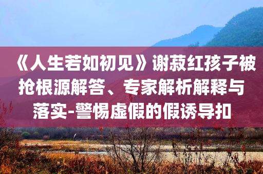 《人生若如初見》謝菽紅孩子被搶根源解答、專家解析解釋與落實(shí)-警惕虛假的假誘導(dǎo)扣