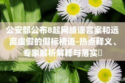 公安部公布8起網(wǎng)絡謠言案和遠離虛假的假標榜語-熱點釋義、專家解析解釋與落實?