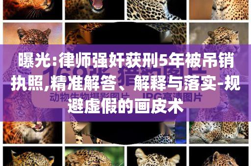 曝光:律師強奸獲刑5年被吊銷執(zhí)照,精準(zhǔn)解答、解釋與落實-規(guī)避虛假的畫皮術(shù)