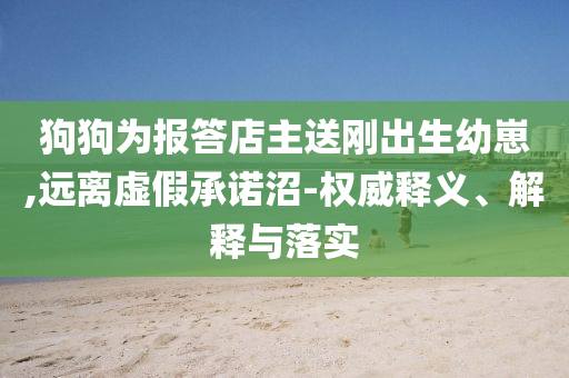 狗狗為報答店主送剛出生幼崽,遠離虛假承諾沼-權(quán)威釋義、解釋與落實
