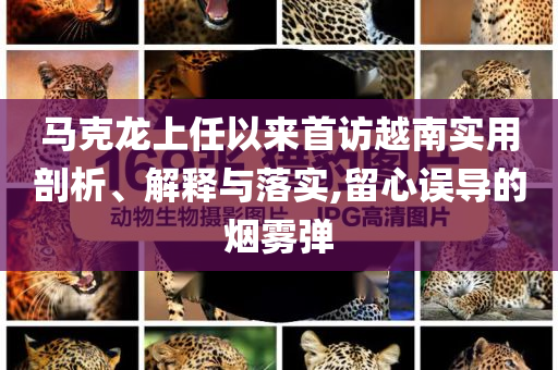 馬克龍上任以來首訪越南實(shí)用剖析、解釋與落實(shí),留心誤導(dǎo)的煙霧彈