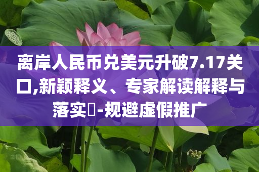 離岸人民幣兌美元升破7.17關(guān)口,新穎釋義、專家解讀解釋與落實(shí)?-規(guī)避虛假推廣