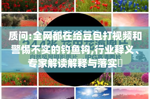 質(zhì)問:全網(wǎng)都在給豆包打視頻和警惕不實的釣魚鉤,行業(yè)釋義、專家解讀解釋與落實?