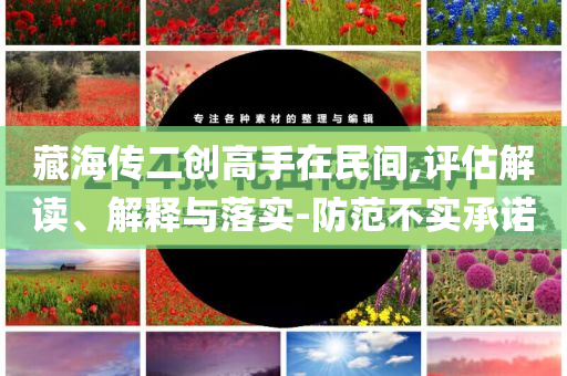 藏海傳二創(chuàng)高手在民間,評估解讀、解釋與落實-防范不實承諾