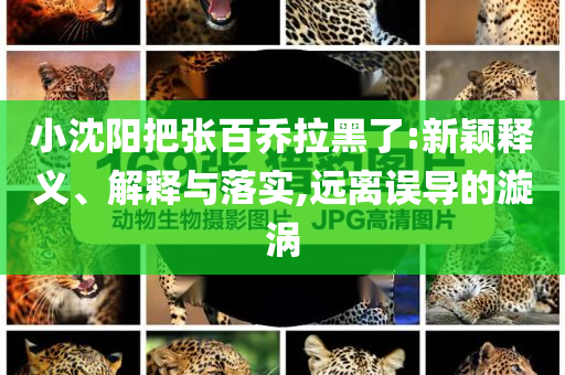 小沈陽把張百喬拉黑了:新穎釋義、解釋與落實(shí),遠(yuǎn)離誤導(dǎo)的漩渦
