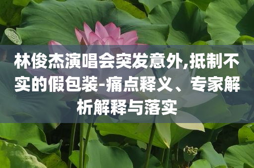 林俊杰演唱會(huì)突發(fā)意外,抵制不實(shí)的假包裝-痛點(diǎn)釋義、專(zhuān)家解析解釋與落實(shí)