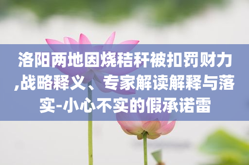 洛陽(yáng)兩地因燒秸稈被扣罰財(cái)力,戰(zhàn)略釋義、專家解讀解釋與落實(shí)-小心不實(shí)的假承諾雷