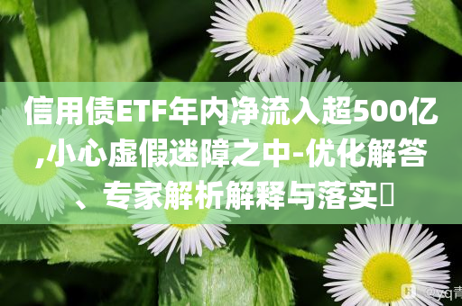 信用債ETF年內凈流入超500億,小心虛假迷障之中-優(yōu)化解答、專家解析解釋與落實?
