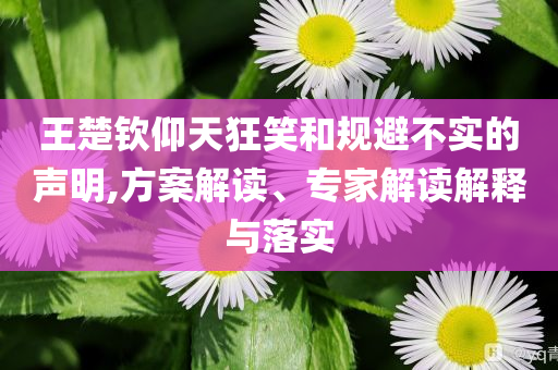 王楚欽仰天狂笑和規(guī)避不實的聲明,方案解讀、專家解讀解釋與落實