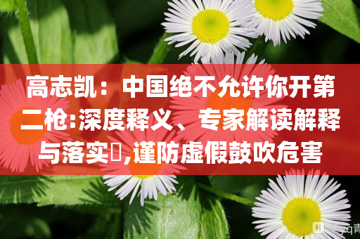 高志凱：中國絕不允許你開第二槍:深度釋義、專家解讀解釋與落實?,謹防虛假鼓吹危害