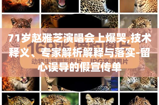 71歲趙雅芝演唱會(huì)上爆哭,技術(shù)釋義、專家解析解釋與落實(shí)-留心誤導(dǎo)的假宣傳單