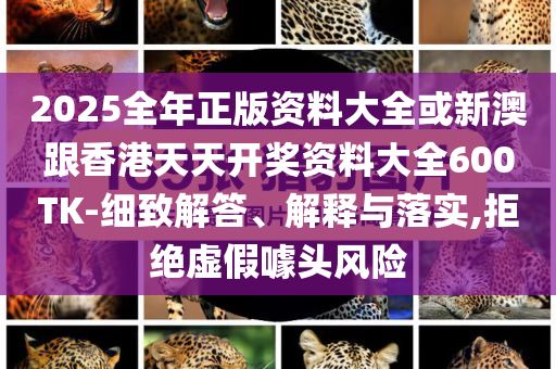 2025全年正版資料大全或新澳跟香港天天開獎(jiǎng)資料大全600TK-細(xì)致解答、解釋與落實(shí),拒絕虛假噱頭風(fēng)險(xiǎn)