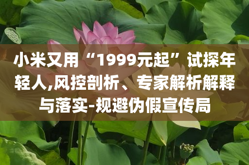 小米又用“1999元起”試探年輕人,風(fēng)控剖析、專家解析解釋與落實(shí)-規(guī)避偽假宣傳局