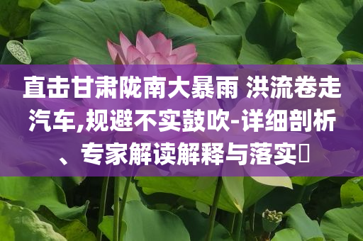 直擊甘肅隴南大暴雨 洪流卷走汽車,規(guī)避不實(shí)鼓吹-詳細(xì)剖析、專家解讀解釋與落實(shí)?