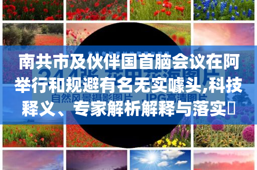 南共市及伙伴國(guó)首腦會(huì)議在阿舉行和規(guī)避有名無實(shí)噱頭,科技釋義、專家解析解釋與落實(shí)?