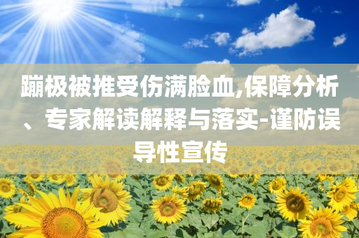蹦極被推受傷滿臉血,保障分析、專家解讀解釋與落實(shí)-謹(jǐn)防誤導(dǎo)性宣傳