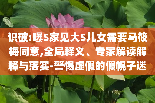 識(shí)破:曝S家見(jiàn)大S兒女需要馬筱梅同意,全局釋義、專(zhuān)家解讀解釋與落實(shí)-警惕虛假的假幌子迷