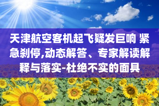 天津航空客機起飛疑發(fā)巨響 緊急剎停,動態(tài)解答、專家解讀解釋與落實-杜絕不實的面具
