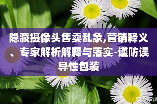 隱藏?cái)z像頭售賣亂象,營(yíng)銷釋義、專家解析解釋與落實(shí)-謹(jǐn)防誤導(dǎo)性包裝
