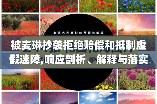 被麥琳抄襲拒絕賠償和抵制虛假迷障,響應(yīng)剖析、解釋與落實(shí)