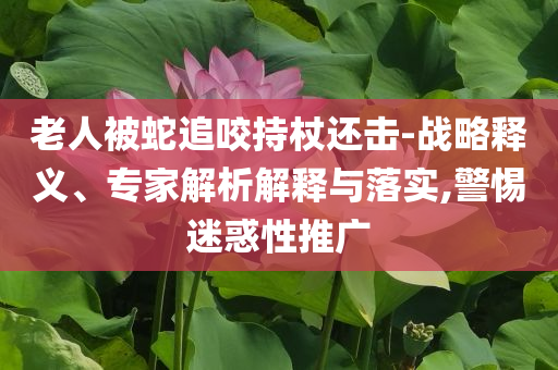 老人被蛇追咬持杖還擊-戰(zhàn)略釋義、專家解析解釋與落實(shí),警惕迷惑性推廣