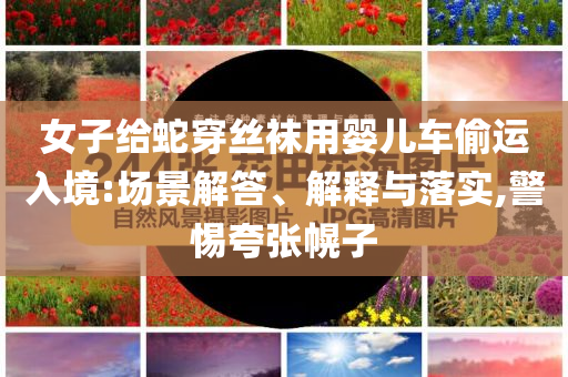 女子給蛇穿絲襪用嬰兒車偷運(yùn)入境:場(chǎng)景解答、解釋與落實(shí),警惕夸張幌子