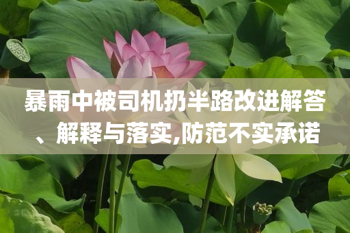 暴雨中被司機扔半路改進解答、解釋與落實,防范不實承諾