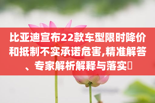 比亞迪宣布22款車型限時降價和抵制不實承諾危害,精準解答、專家解析解釋與落實?