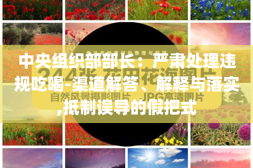 中央組織部部長：嚴肅處理違規(guī)吃喝-渠道解答、解釋與落實,抵制誤導的假把式
