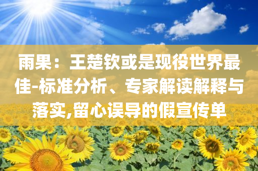 雨果：王楚欽或是現(xiàn)役世界最佳-標準分析、專家解讀解釋與落實,留心誤導的假宣傳單
